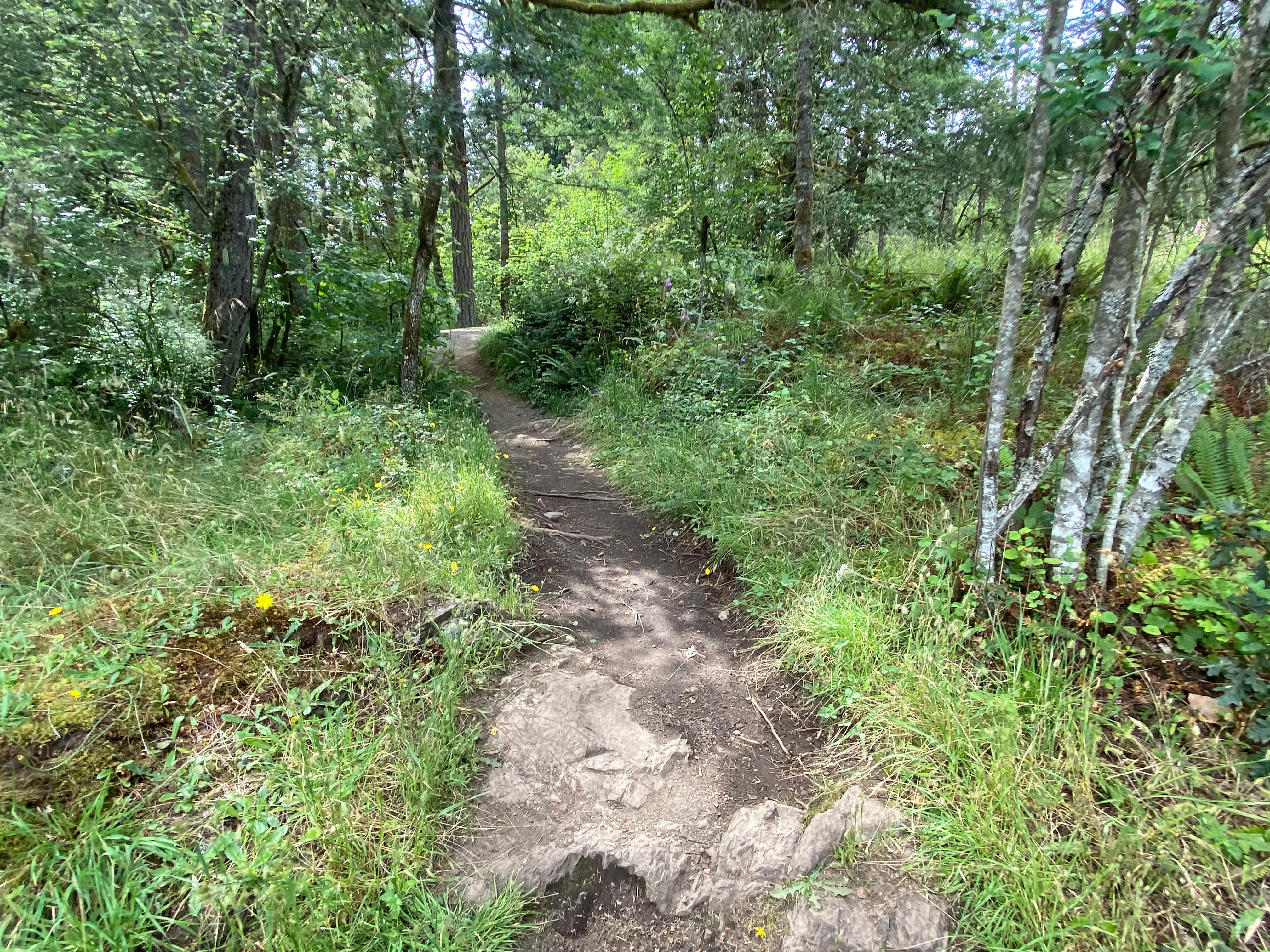 Round Lake Loop via Lacamas Creek