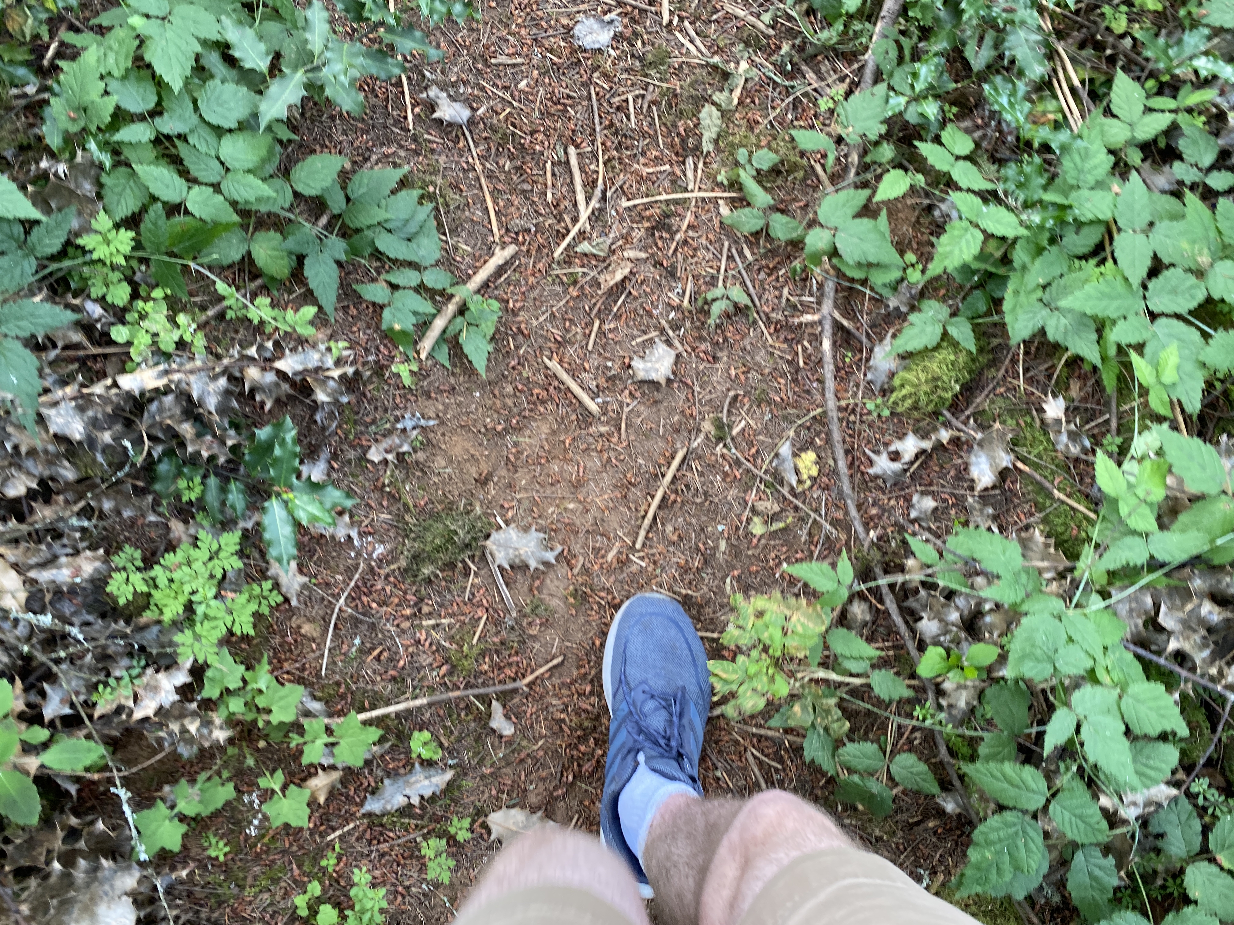 Hike Lacamas Heritage Trail