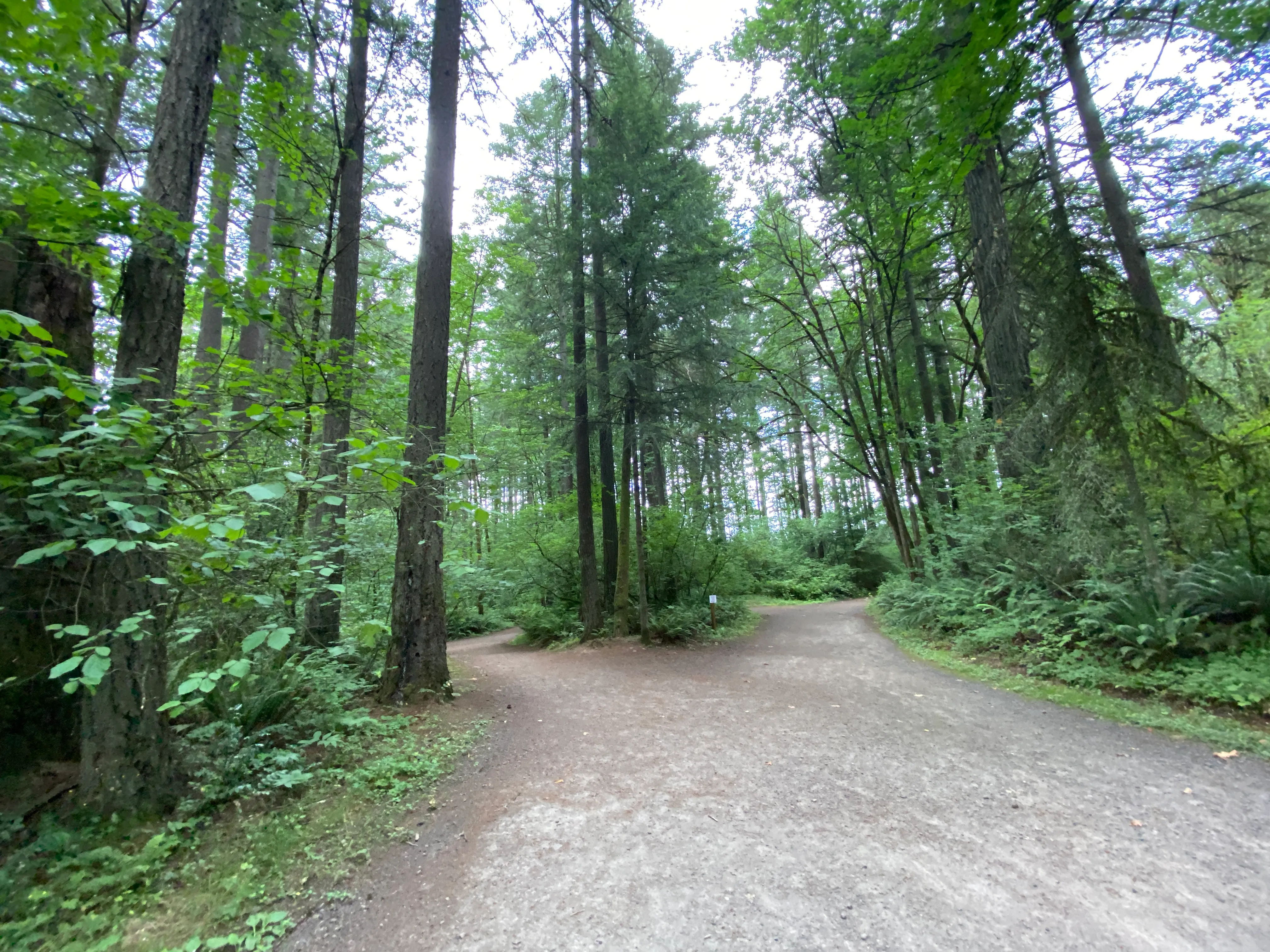 Round Lake Loop via Lacamas Creek