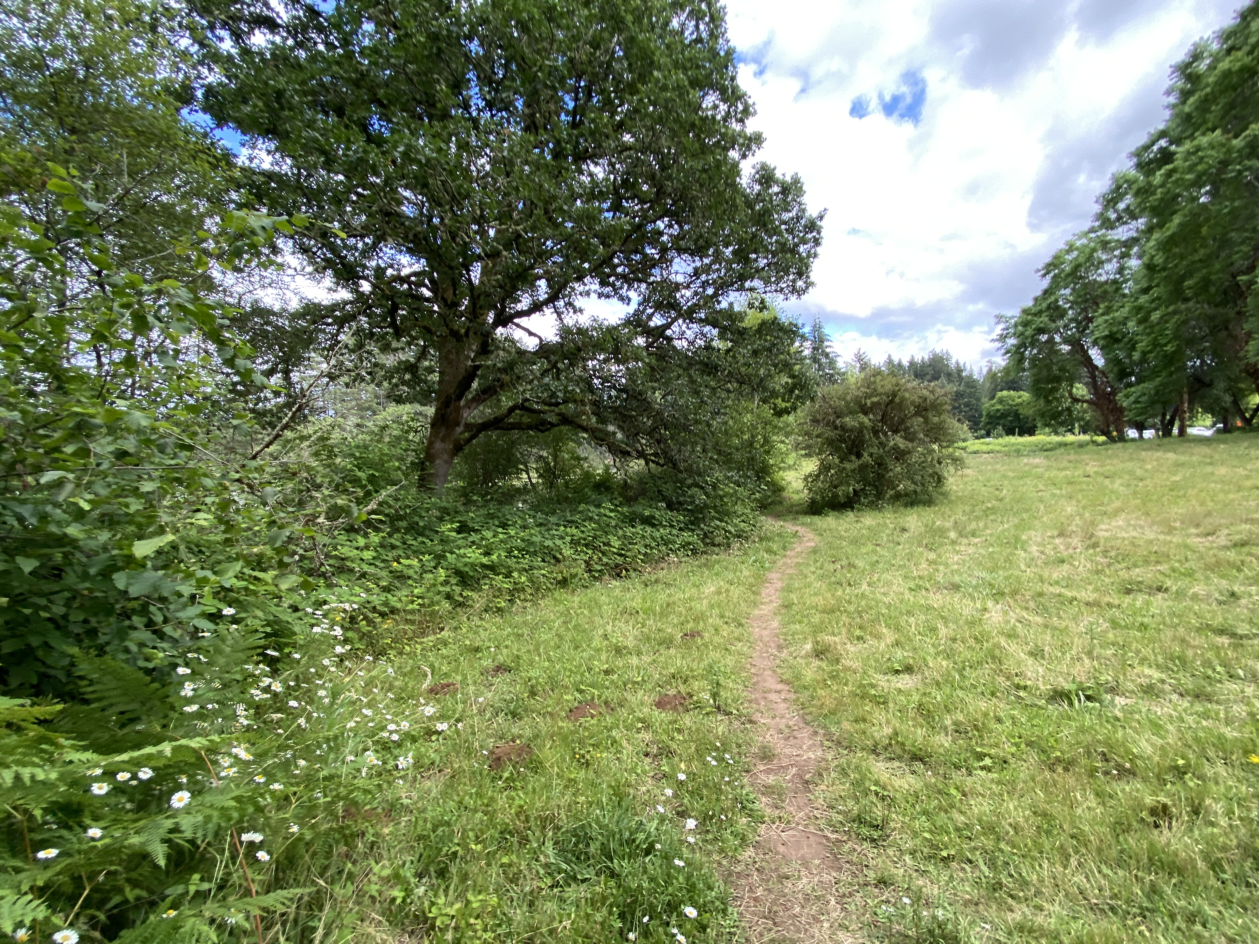Hike Lacamas Heritage Trail