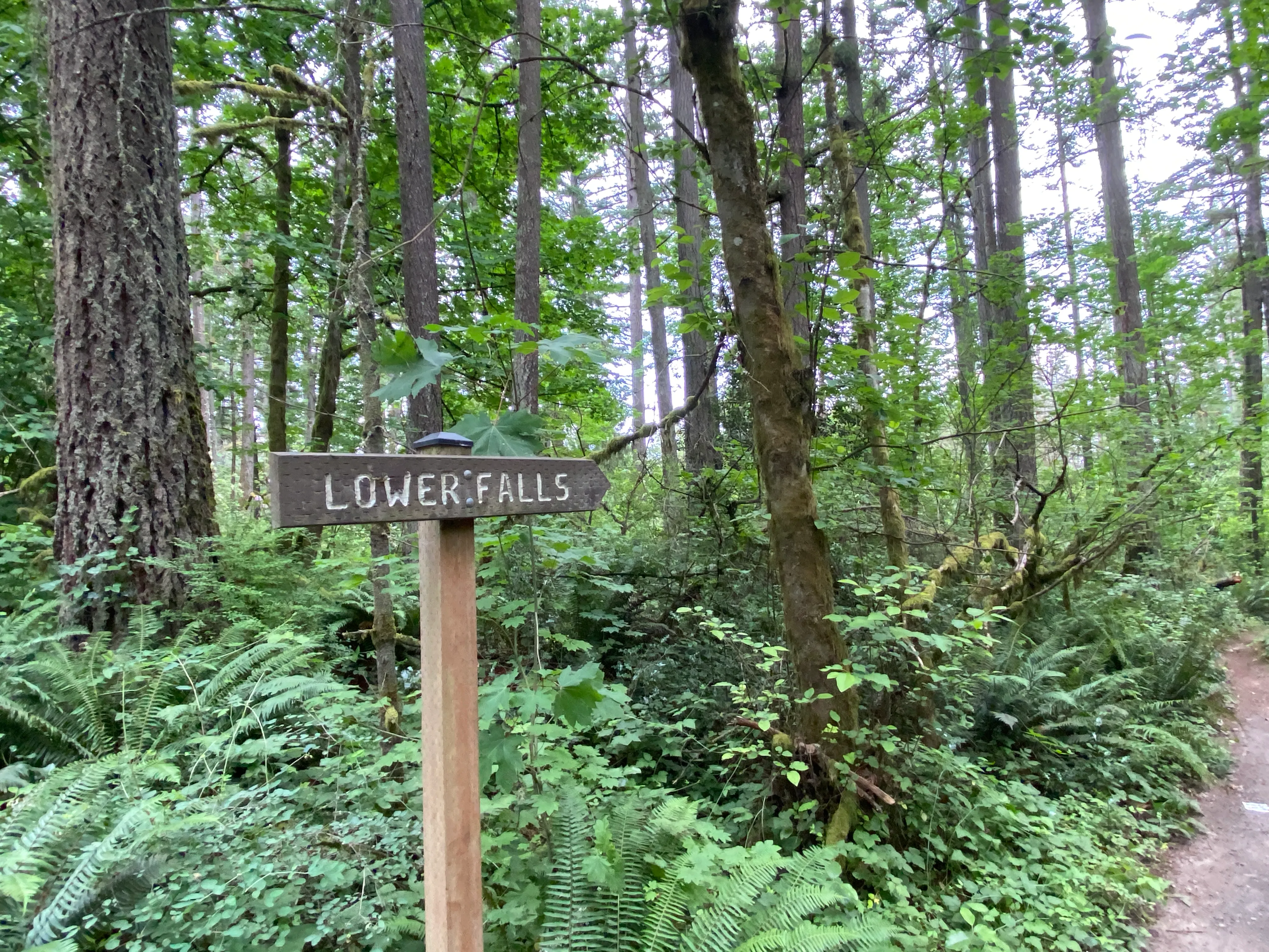 Round Lake Loop via Lacamas Creek