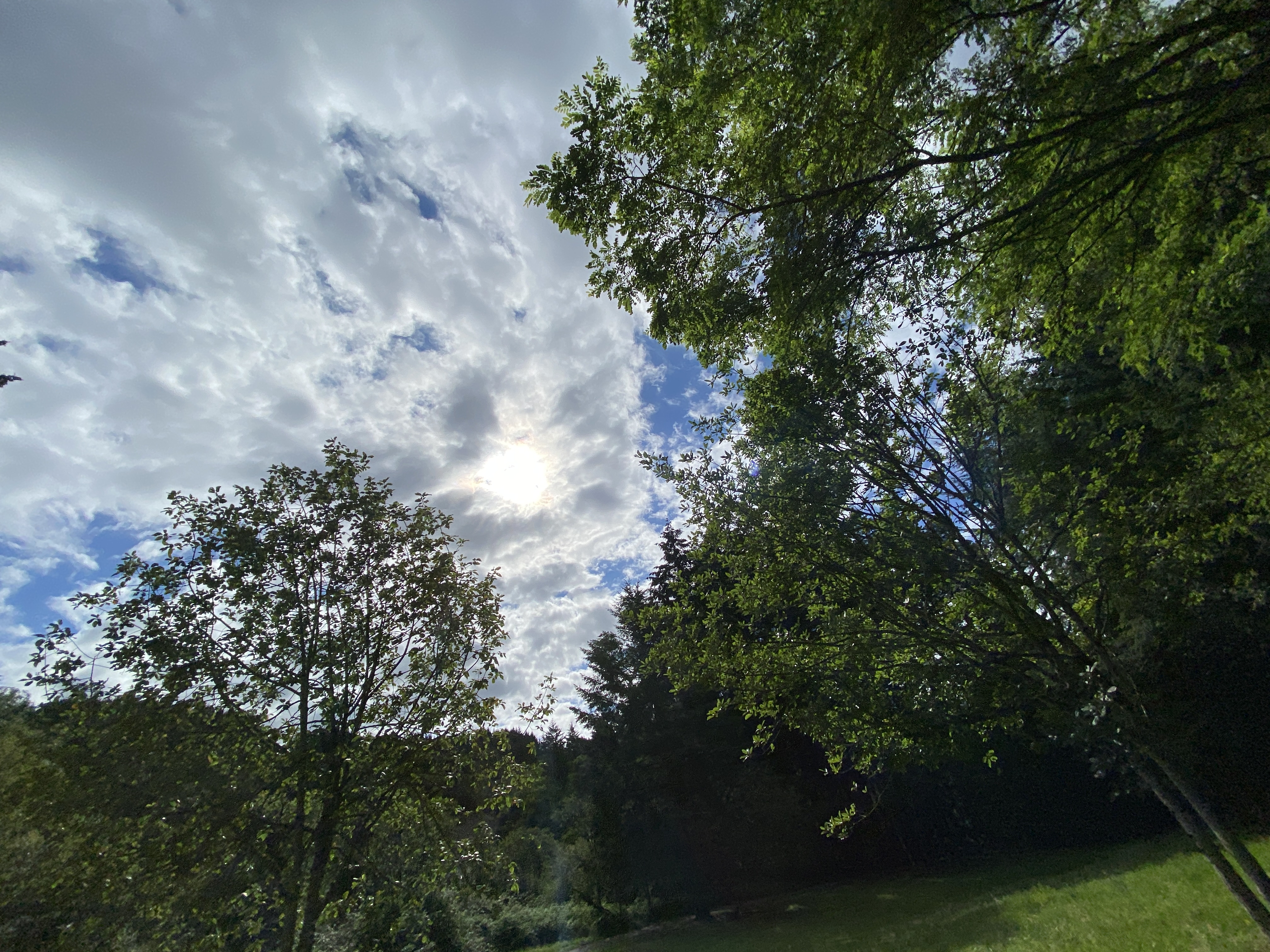 Hike Lacamas Heritage Trail