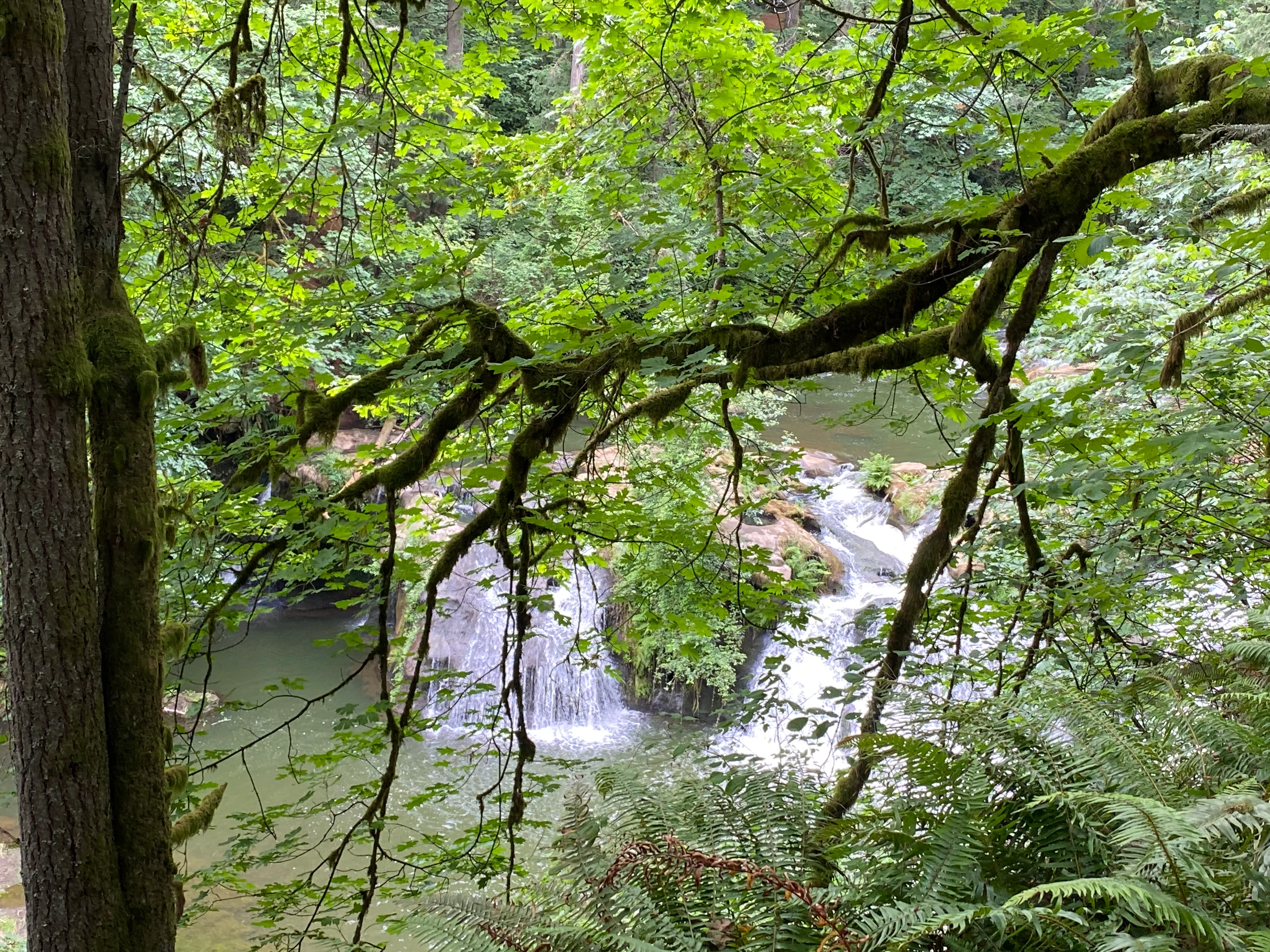 Round Lake Loop via Lacamas Creek