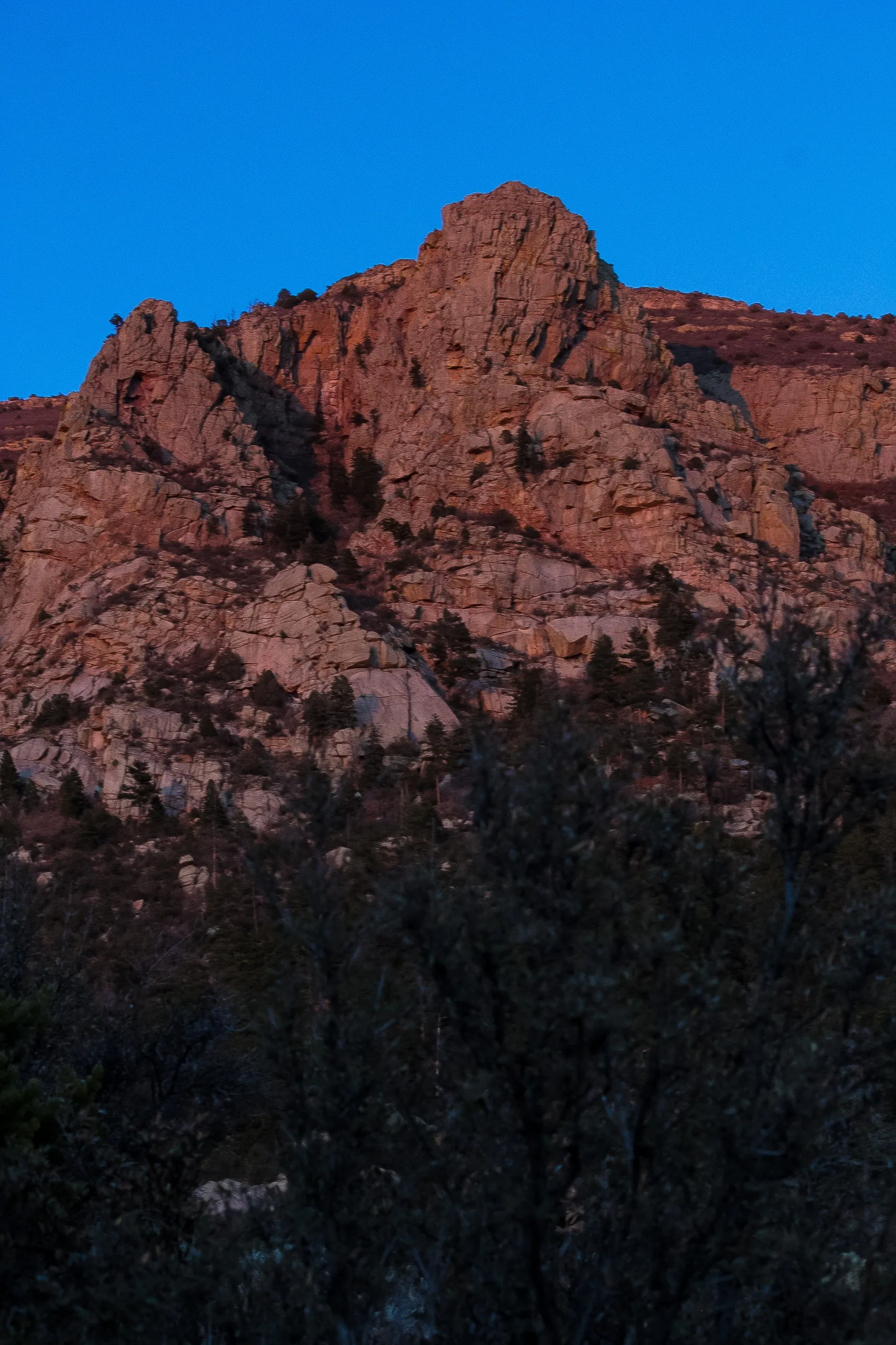 Sandia Crest Trail