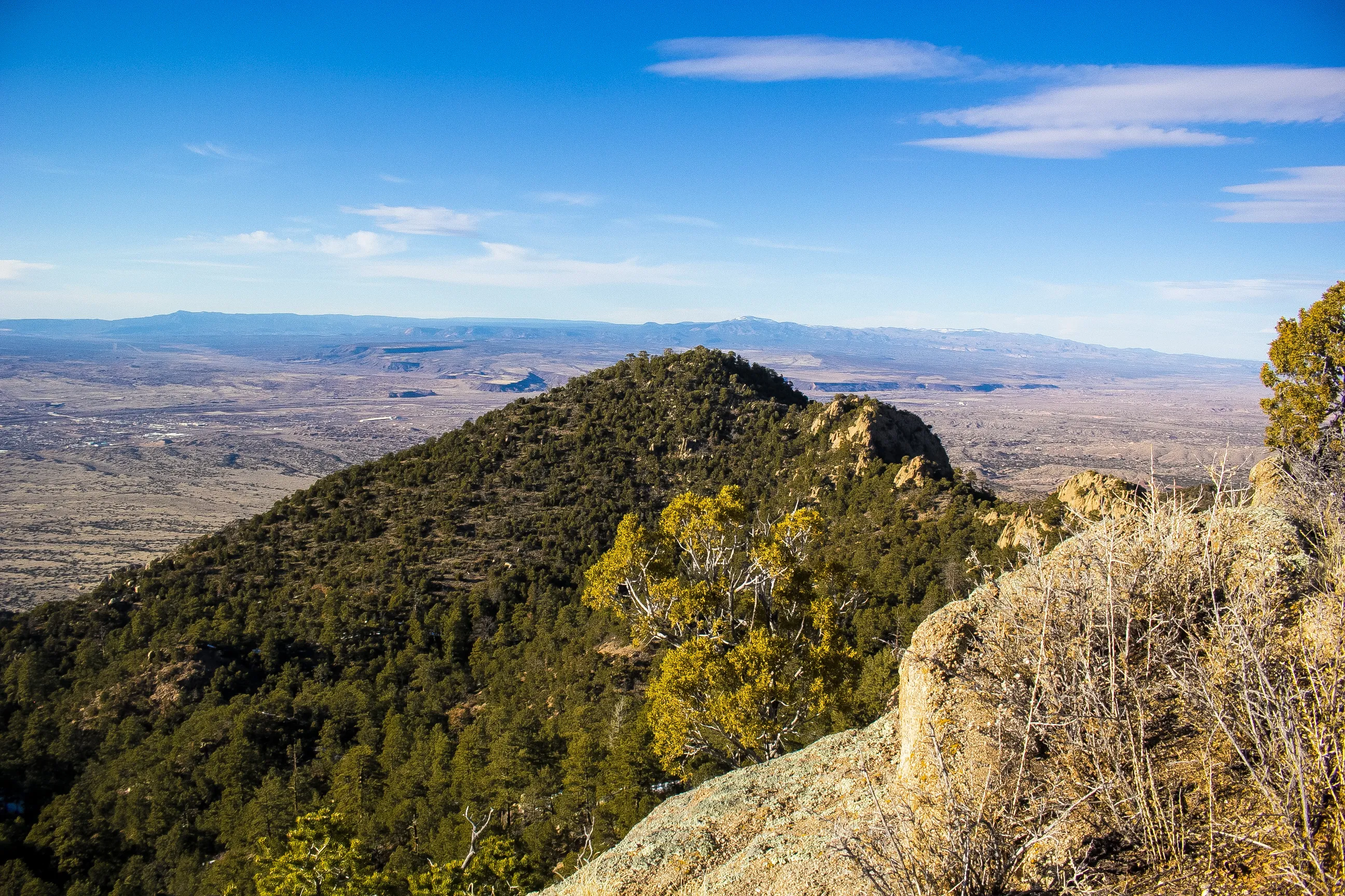 Sandia Crest Trail