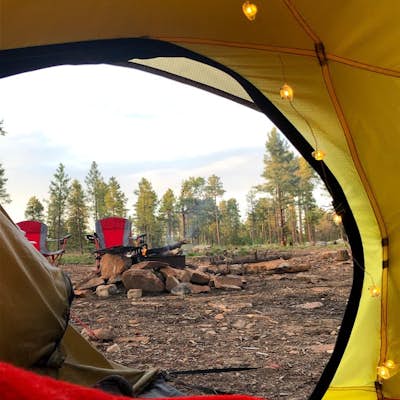 Dispersed Camping on Mogollon Rim (FR 9350)