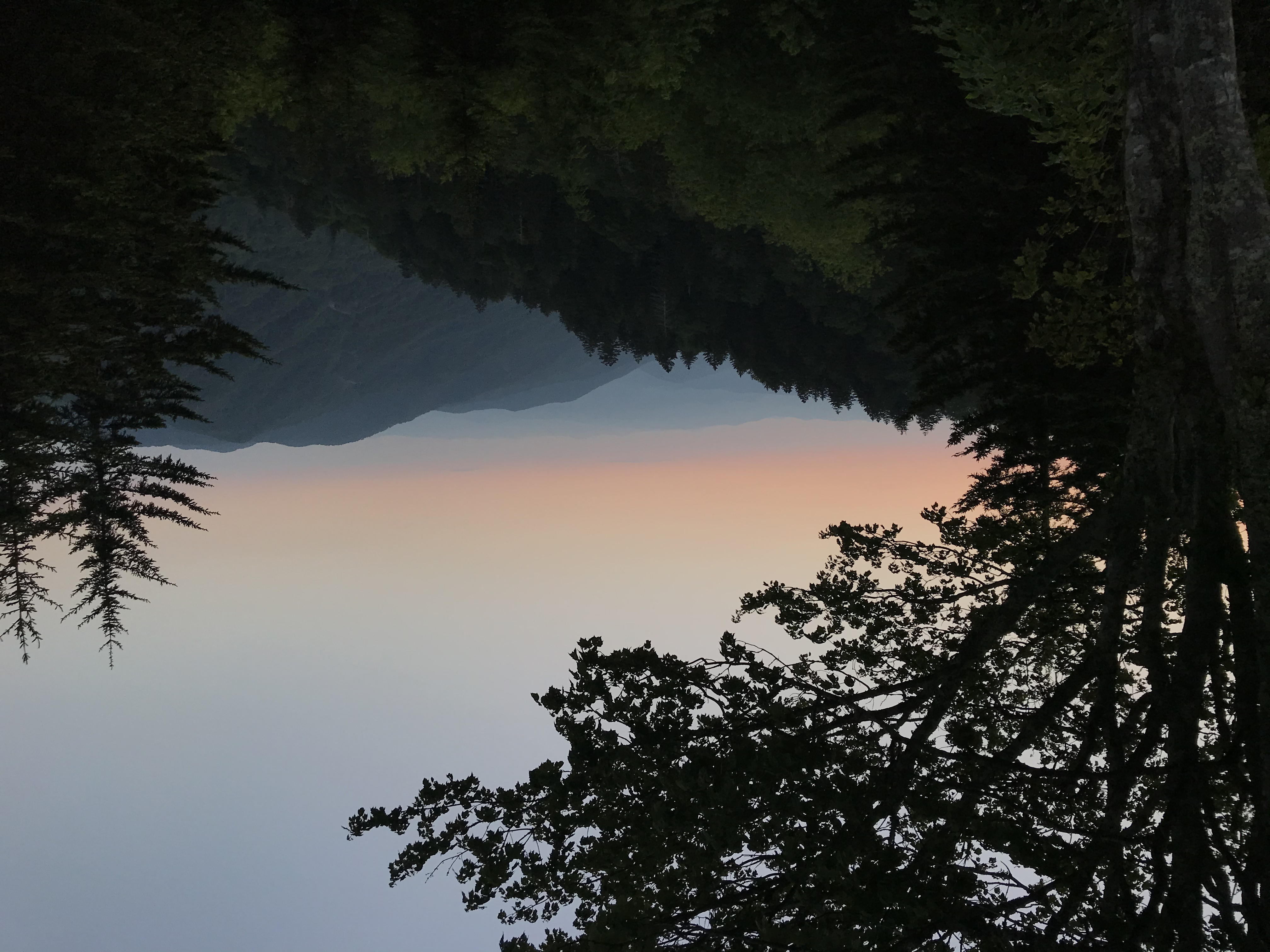 Catch a Sunrise at Newfound Gap