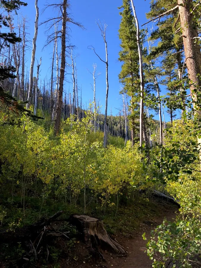 Hike Inner Basin Trail #29