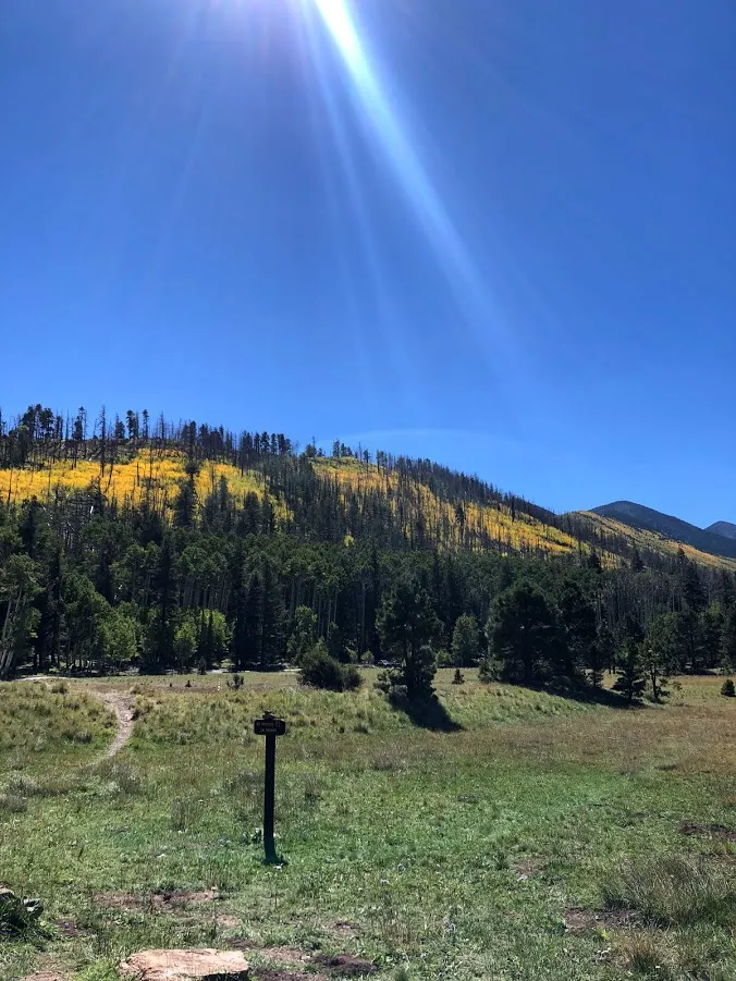 Hike Inner Basin Trail #29