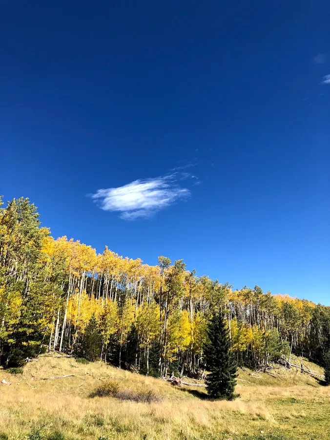 Hike Inner Basin Trail #29