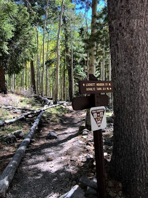 Hike Inner Basin Trail #29