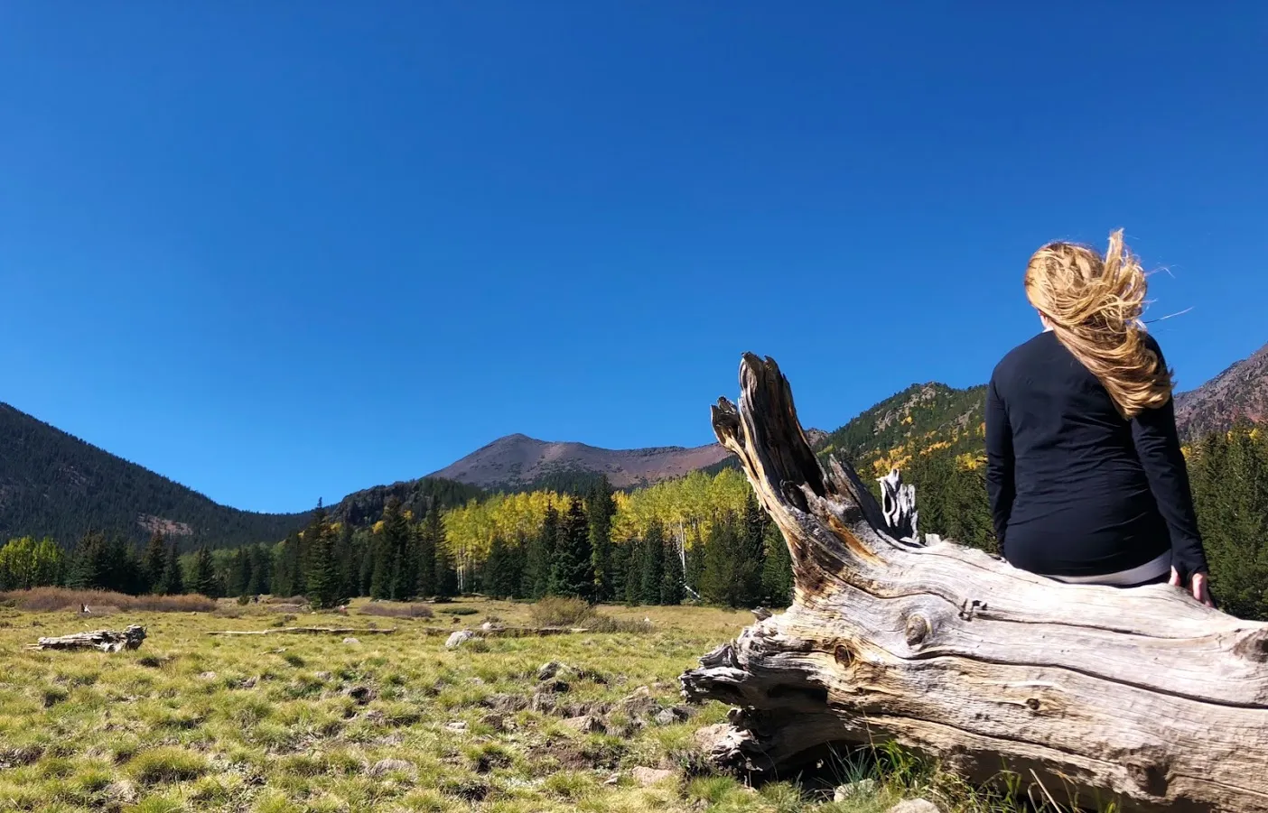 Hike Inner Basin Trail #29