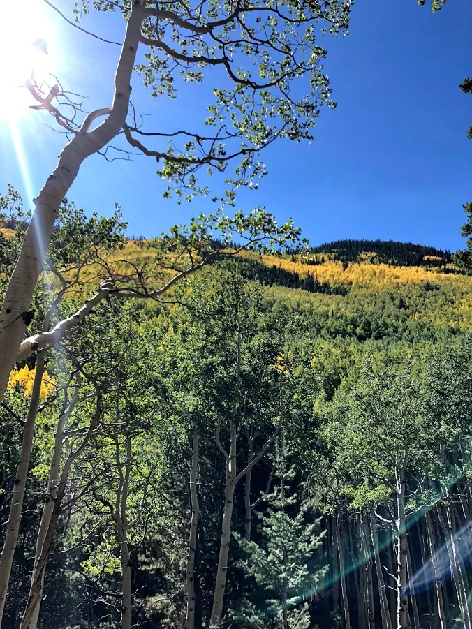 Hike Inner Basin Trail #29
