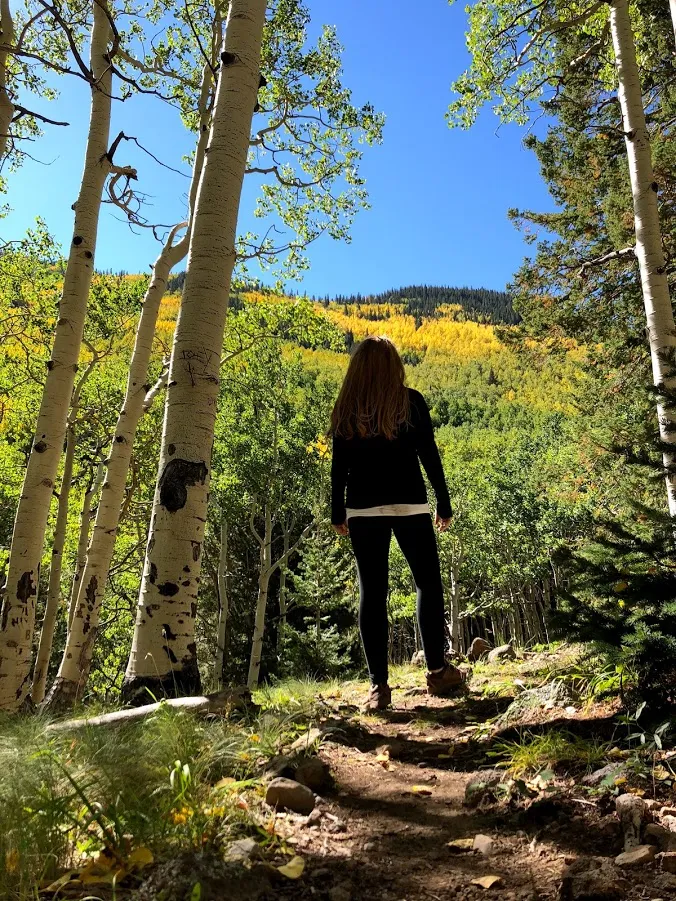 Hike Inner Basin Trail #29