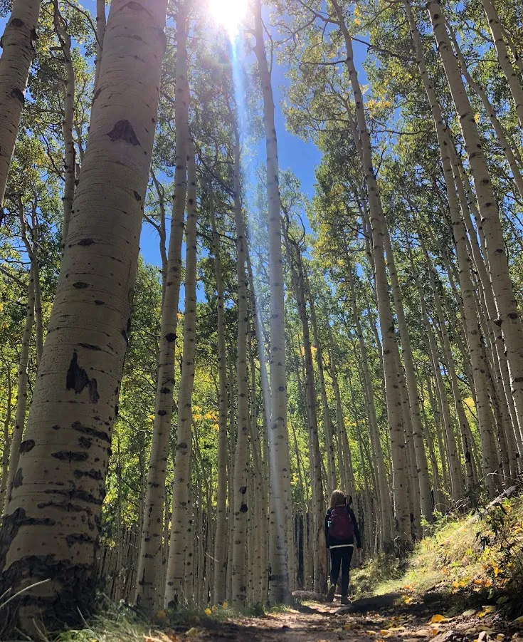 Hike Inner Basin Trail #29