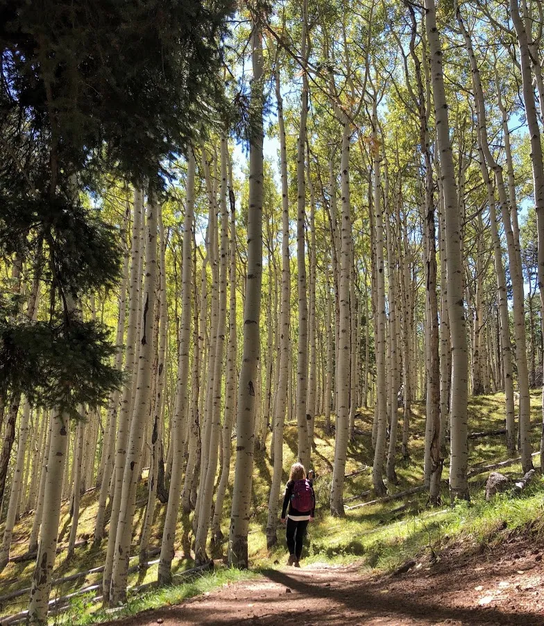 Hike Inner Basin Trail #29