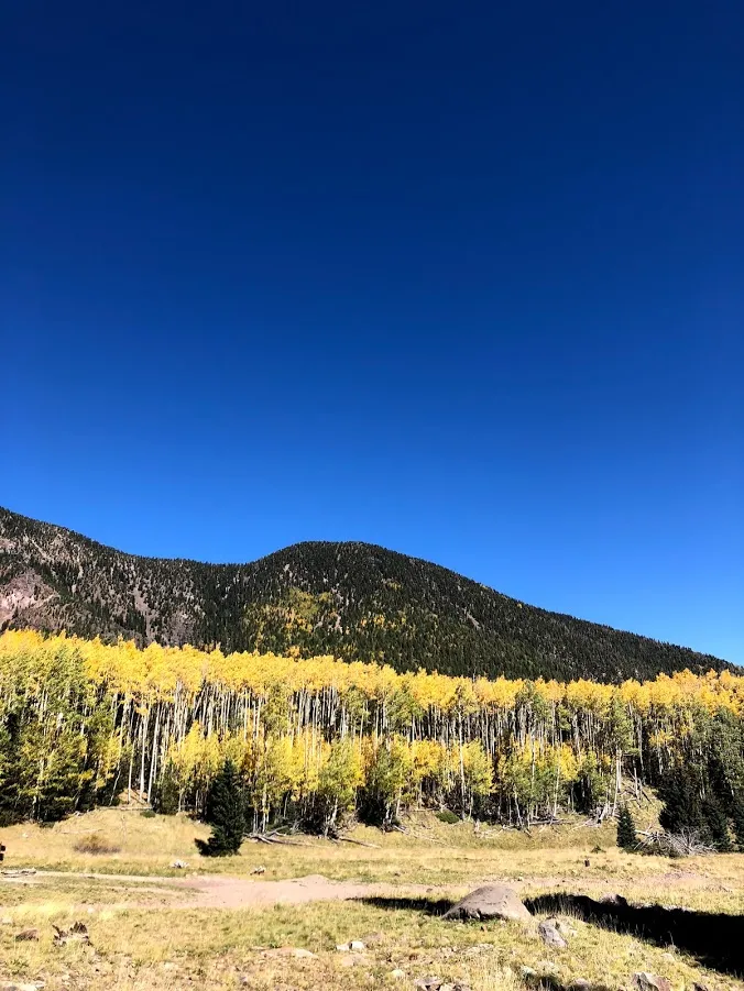 Hike Inner Basin Trail #29
