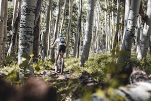 Hart Prairie Loop