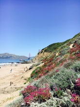 Baker Beach