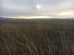 Catch a Sunset at Alviso Marina County Park