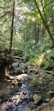 Hike Whittemore Gulch at Purisima Creek Redwoods OSP 