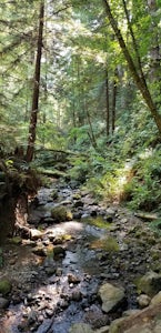 Whittemore Gulch Trail