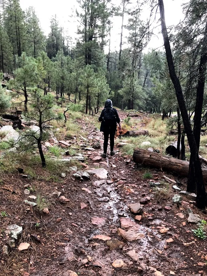 Woods Canyon Lake Loop Trail