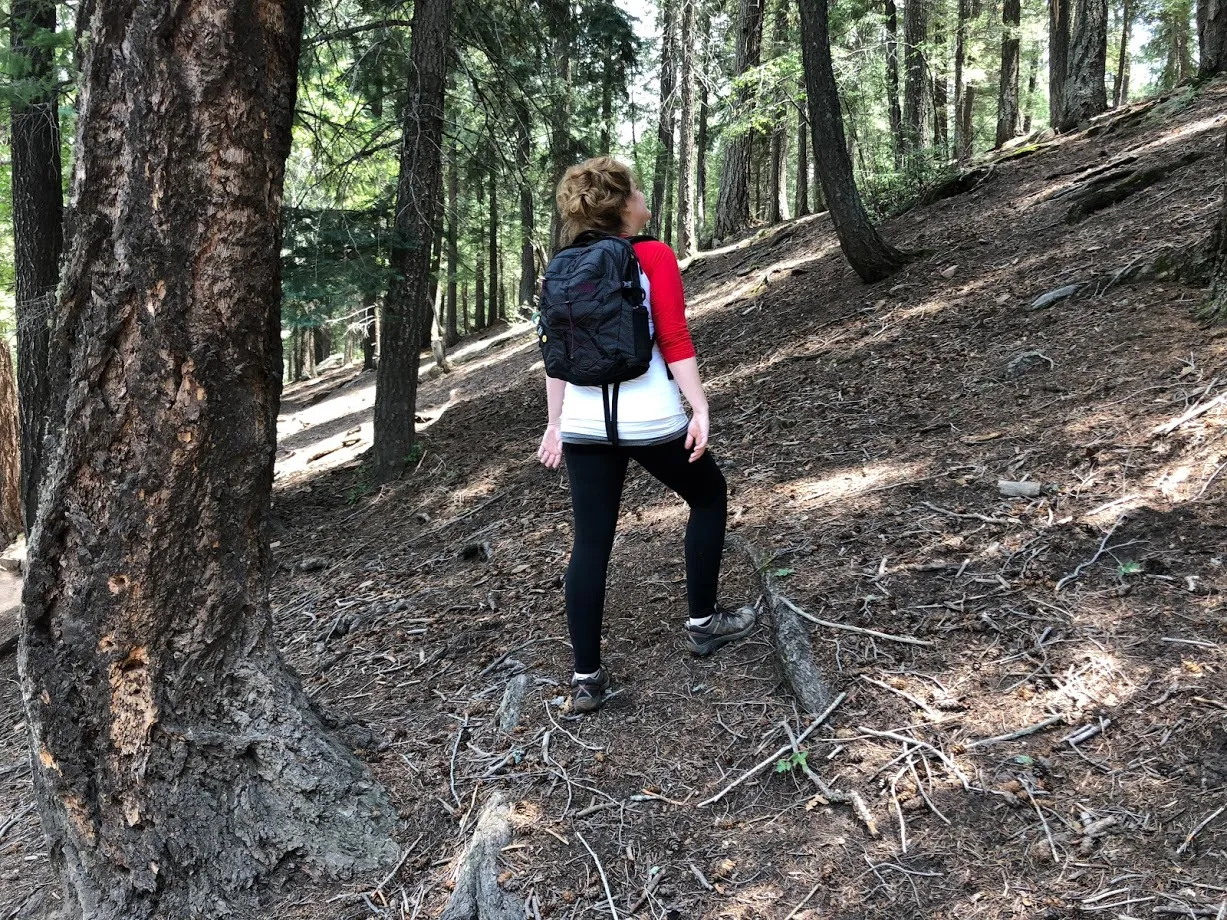Woods Canyon Lake Loop Trail