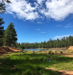 Hike Woods Canyon Lake Loop Trail