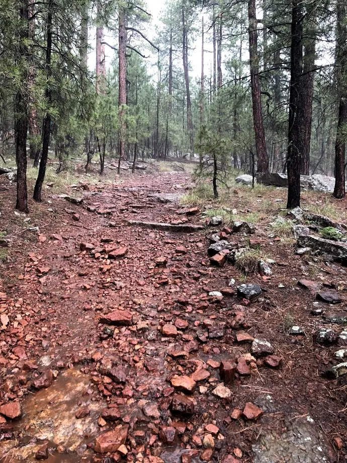 Woods Canyon Lake Loop Trail