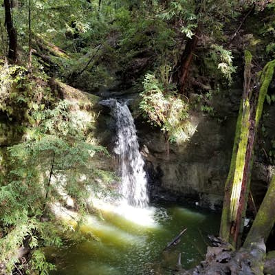 Hike the Sequoia Trail at Big Basin Redwoods SP