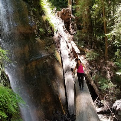 Hike the Berry Creek Falls Loop