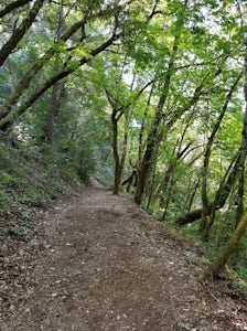 Sanborn and San Andreas Trail Loop