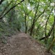 Hike Sanborn County Park via the San Andreas Trail