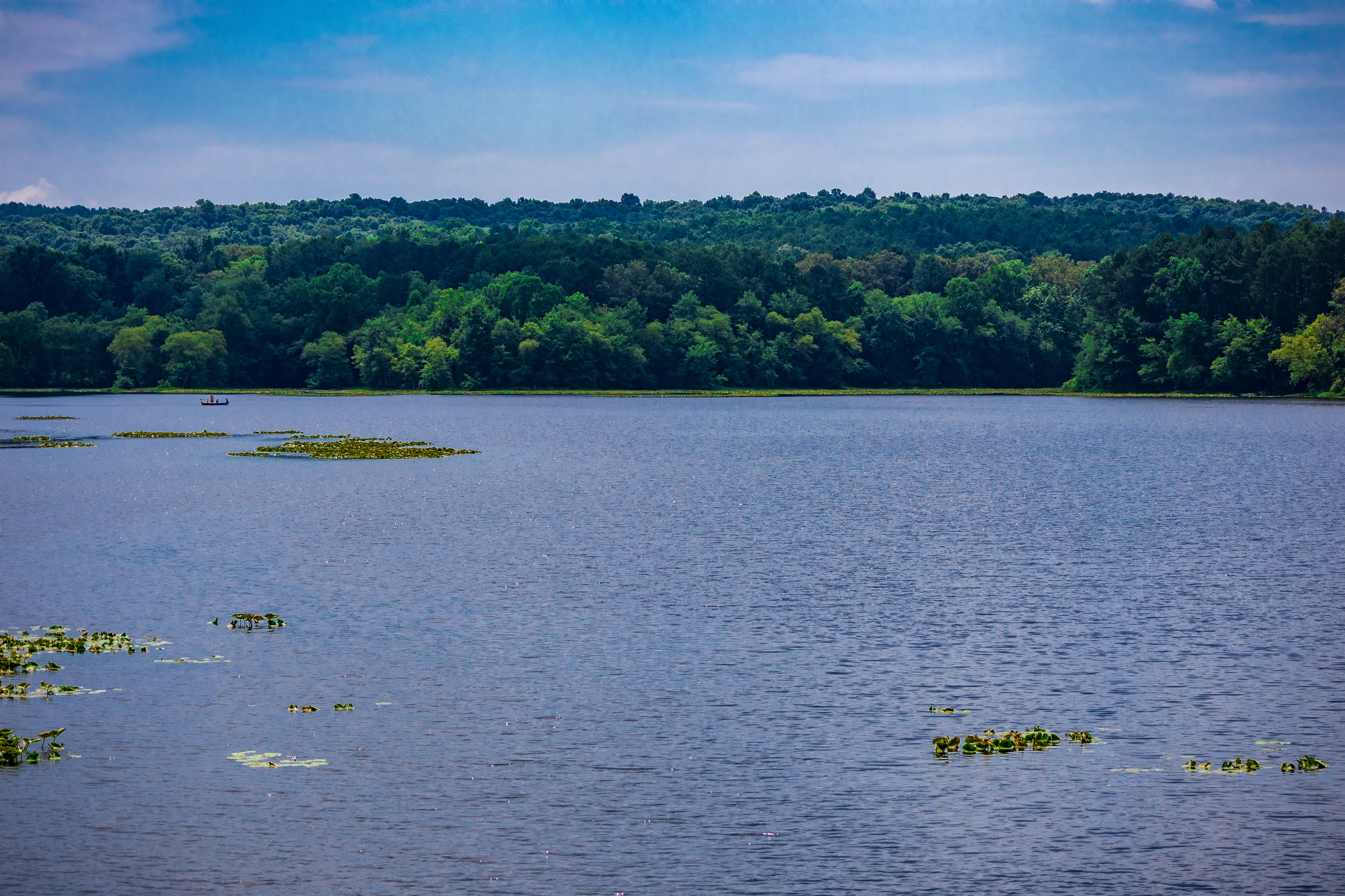 Paddle or Swim at Lake Glendale Recreation Area