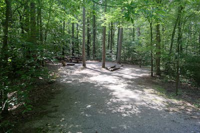 Camp at Oak Point Campground