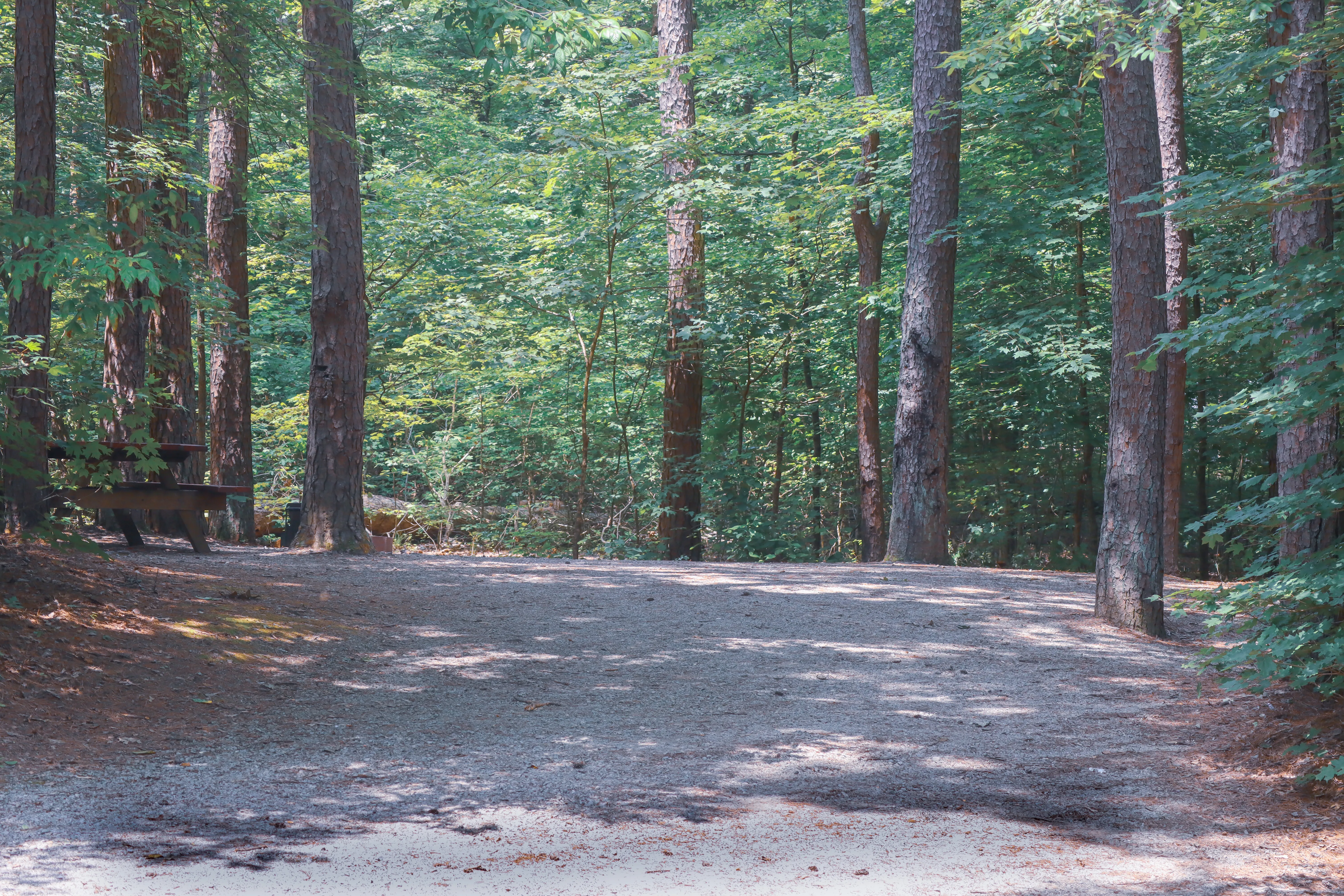 Camp at Oak Point Campground