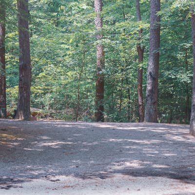 Camp at Oak Point Campground