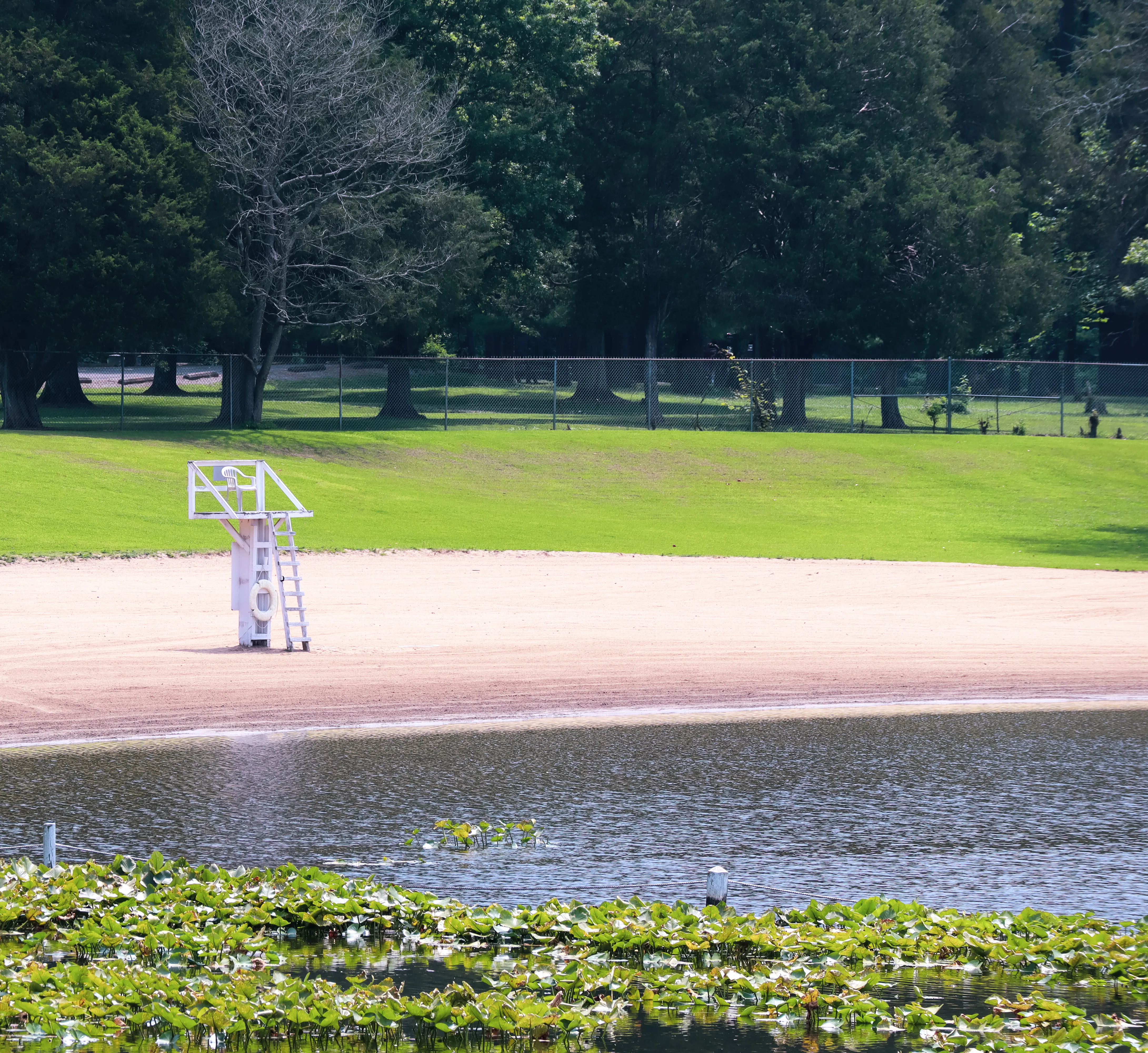 Paddle or Swim at Lake Glendale Recreation Area
