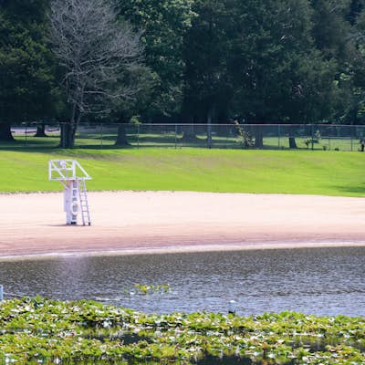 Paddle or Swim at Lake Glendale Recreation Area