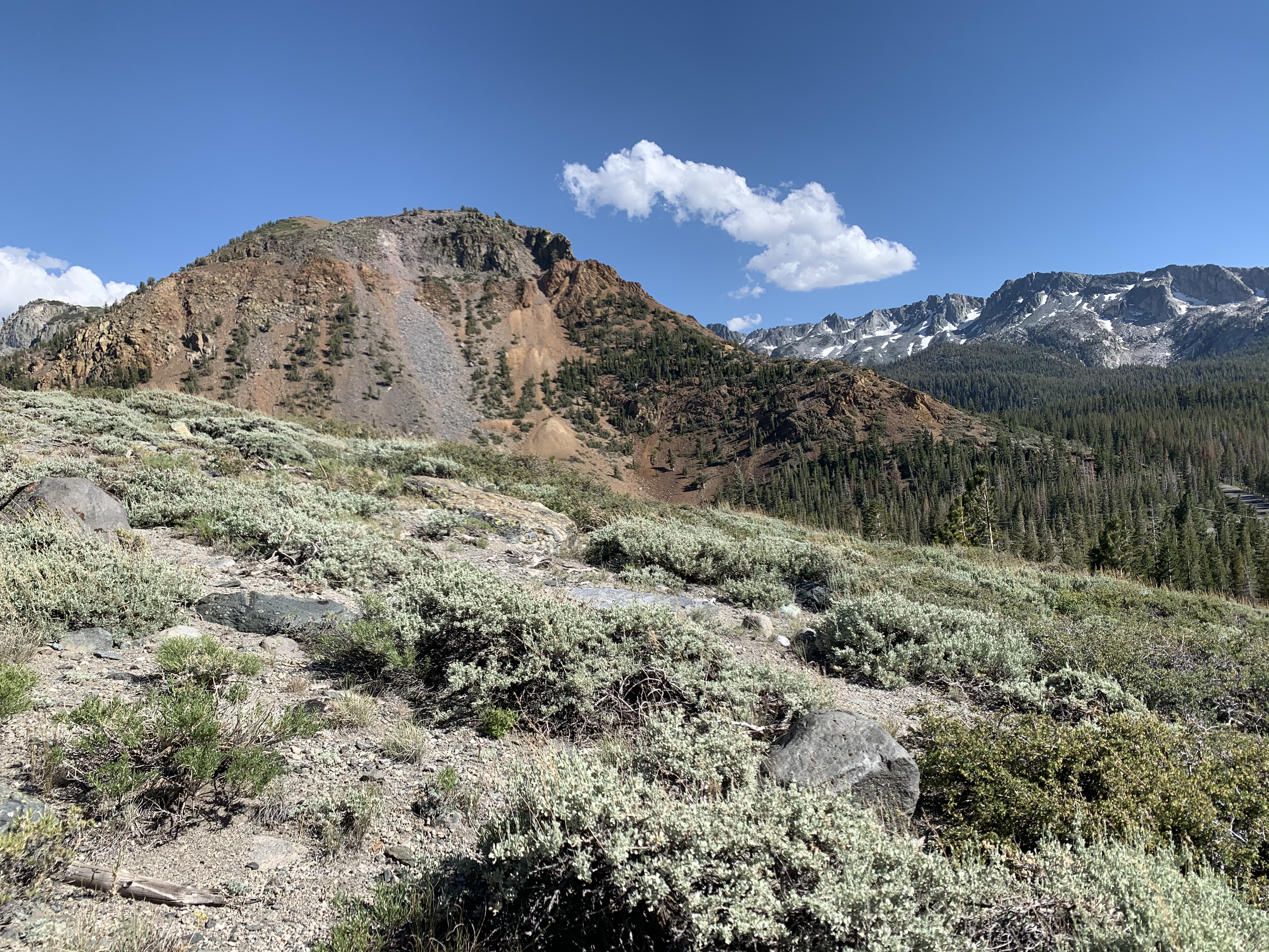 Panorama Dome