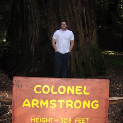Parson Jones and Colonial Armstrong Redwood Trees