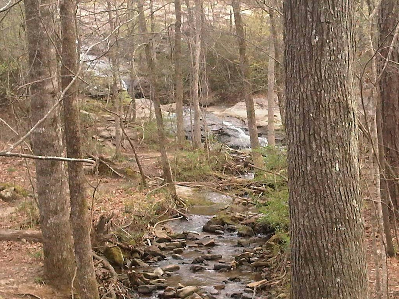 Photo of Exploring Moss Rock Preserve