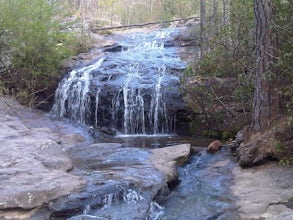 Exploring Moss Rock Preserve