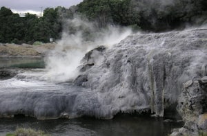 Experience the Whakarewarewa Thermal Valley in Rotorua