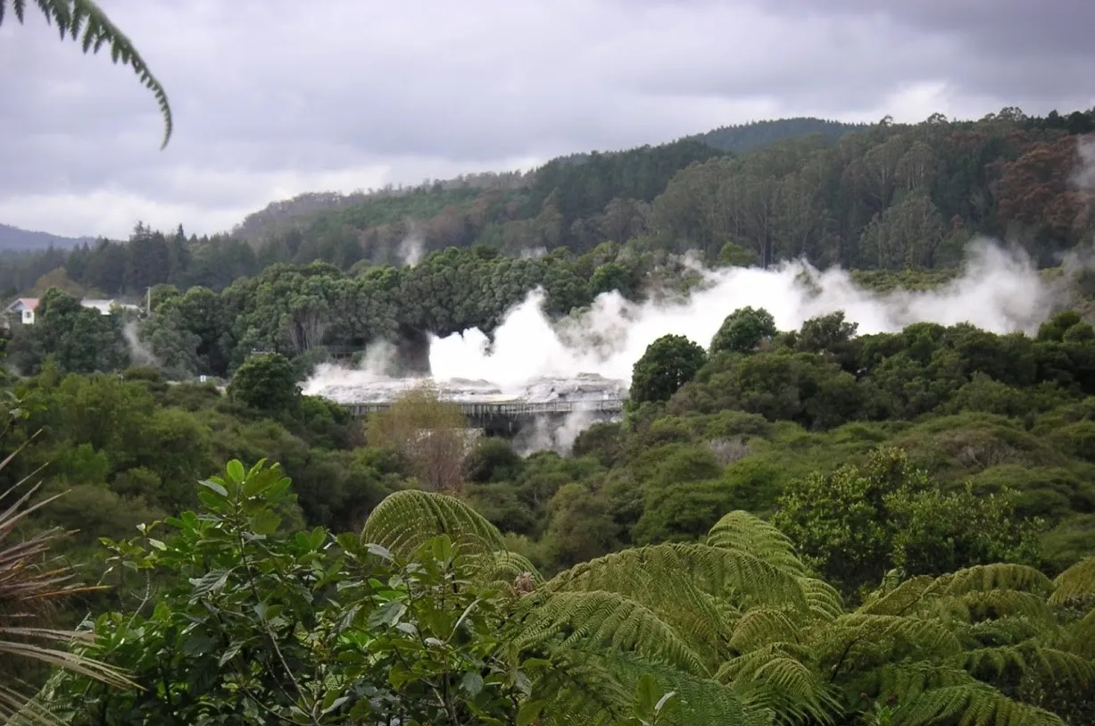 Experience the Whakarewarewa Thermal Valley in Rotorua