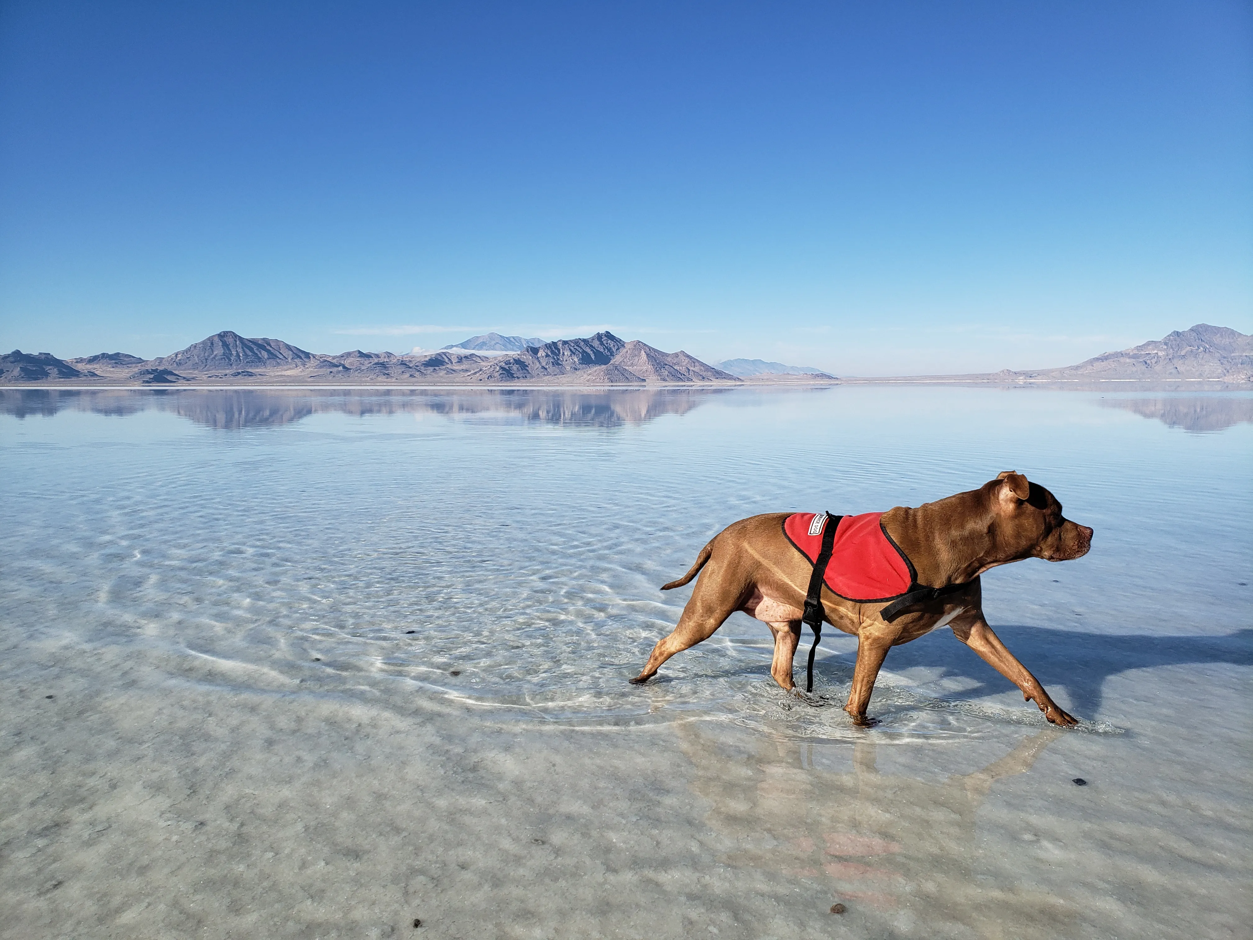 Bonneville Salt Flats