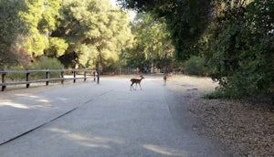 Hike Deer Hollow Farm Trail