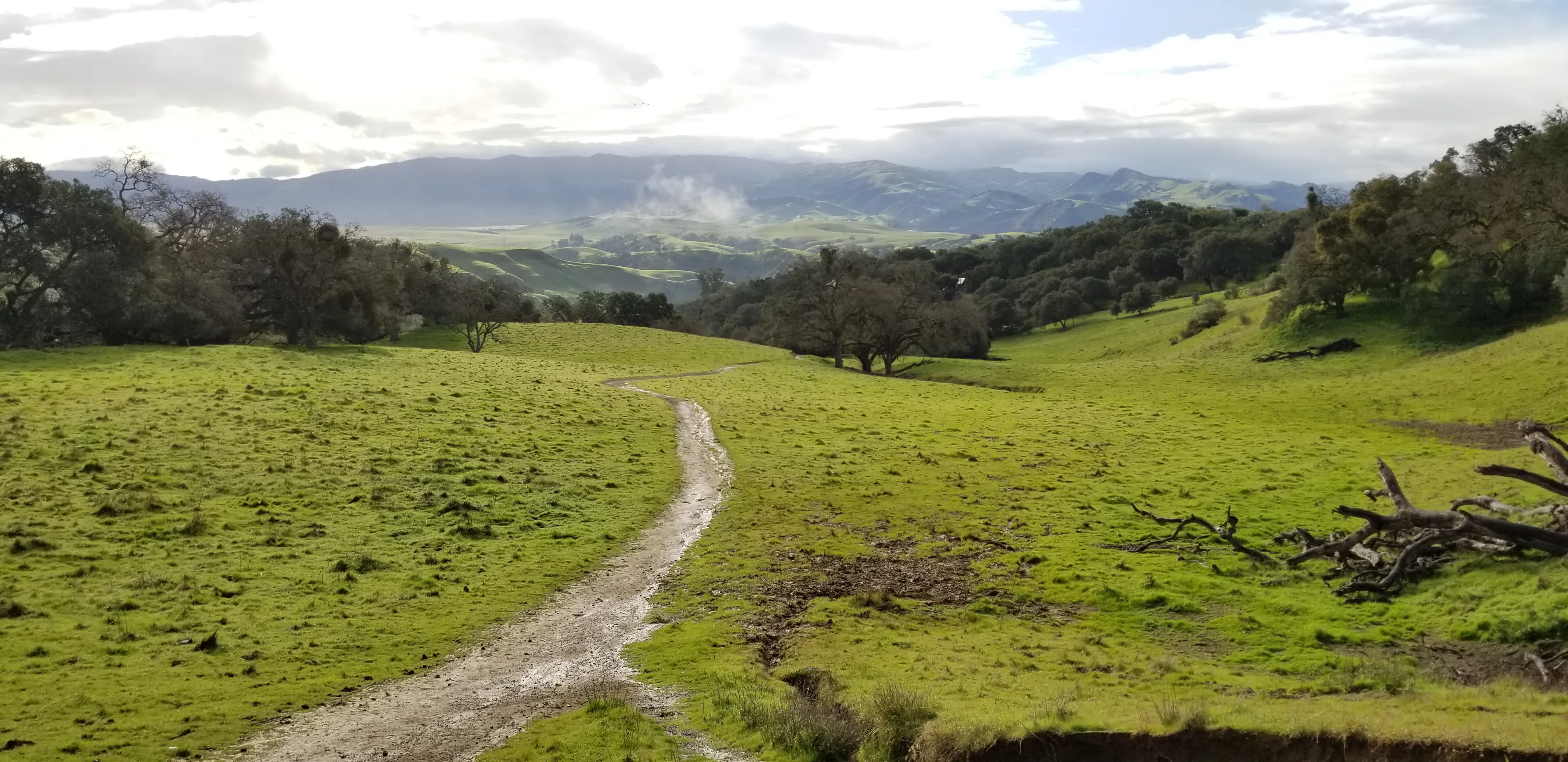 Hike the Pleasanton Ridge Trail 