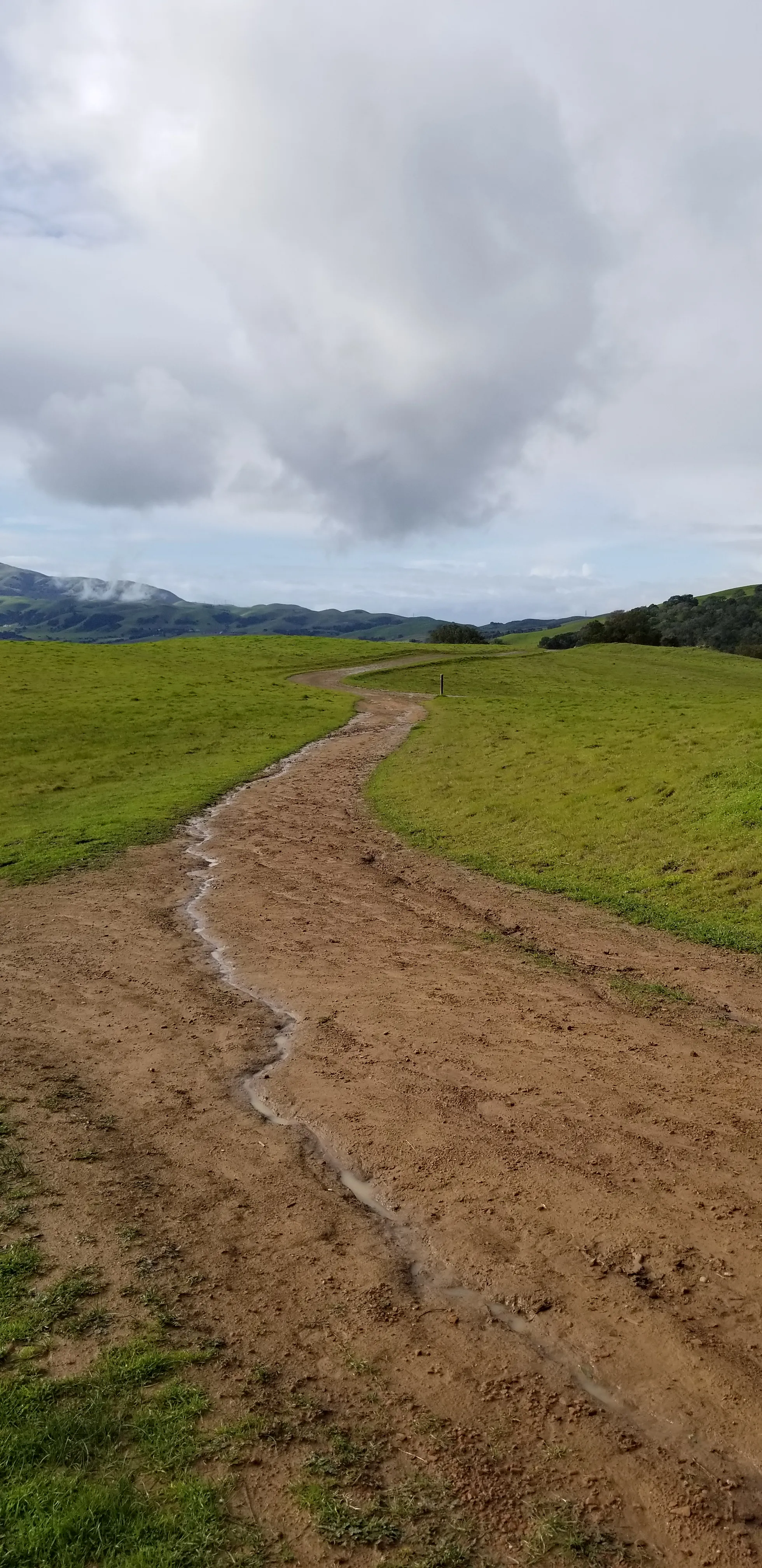 Hike the Pleasanton Ridge Trail 